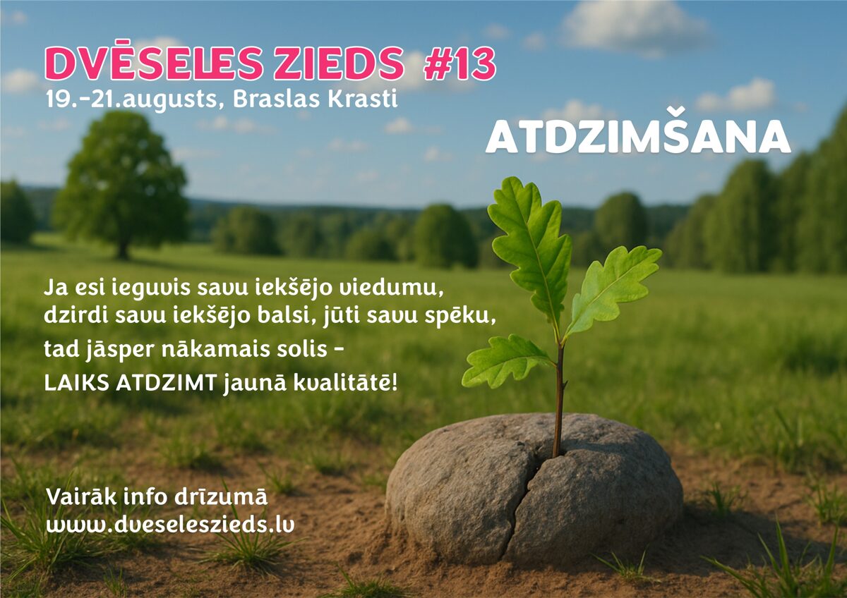 DZ2025-1.jpg